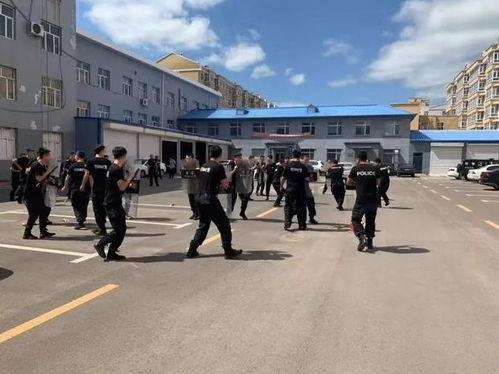 青春草原国产线上视频播放,国产线上视频的青春旋律与草原风情