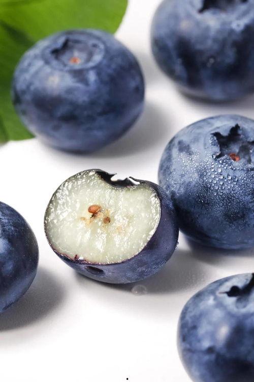 国产蓝莓介绍视频播放,本土种植的鲜甜滋味