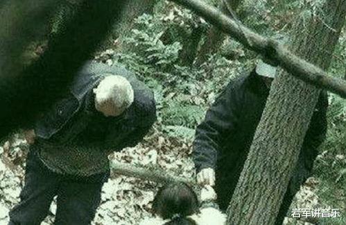 国产老头小树林视频,揭秘我国乡村生活新风尚