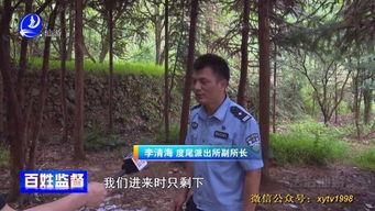 国产老头小树林视频,揭秘我国乡村生活新风尚