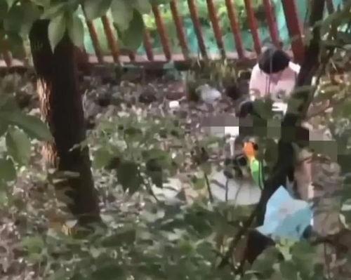 国产老头小树林视频,揭秘我国乡村生活新风尚