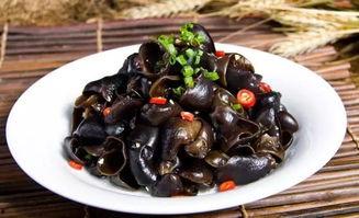 黑木耳免费视频观看国产,免费畅享黑木耳养生视频盛宴