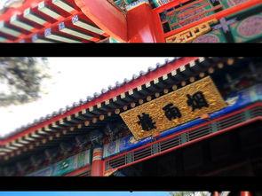 烟雨楼视频国产,探寻江南水乡的古典韵味  第2张