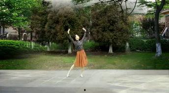 烟雨楼视频国产,探寻江南水乡的古典韵味  第3张