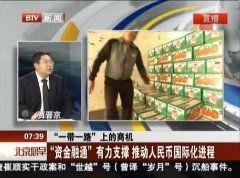 支持国产人民币视频